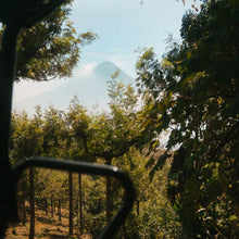 La Tacita Guatemala