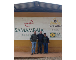 Fazenda Samambaia / Topazio - Brazil 