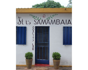 Fazenda Samambaia / Topazio - Brazil 